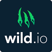 Wild io logo - Best Bitcoin Casinos